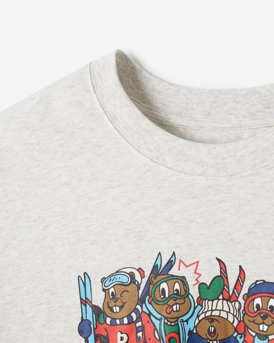 Roots Mens Ski Buddy Relaxed T-Shirt - WHITE MIX