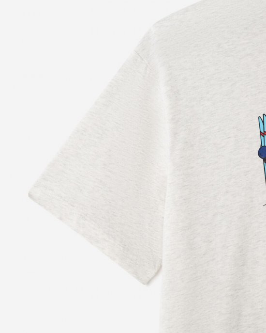 Roots Mens Ski Buddy Relaxed T-Shirt - WHITE MIX