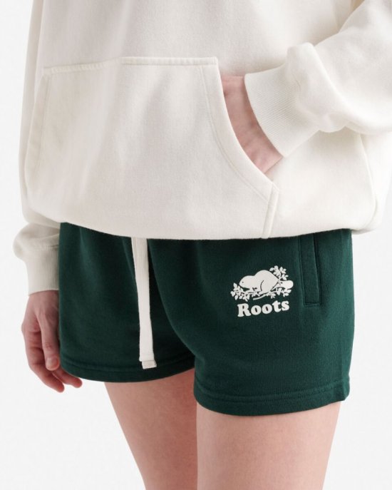 Roots Organic Cooper Relaxed Half Zip Stein - EGRET