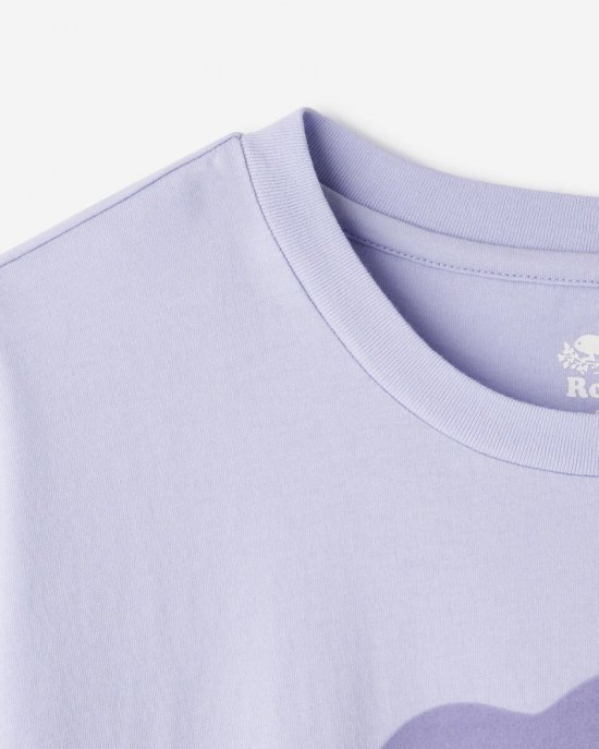 Roots Womens Organic Relaxed Cooper T-Shirt - COSMIC SKY