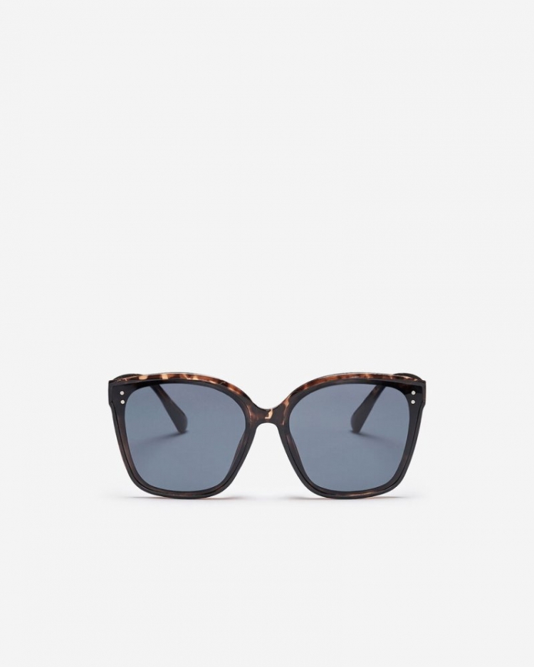 Roots Plastic Oversized Square Tortoise - BROWN - Click Image to Close