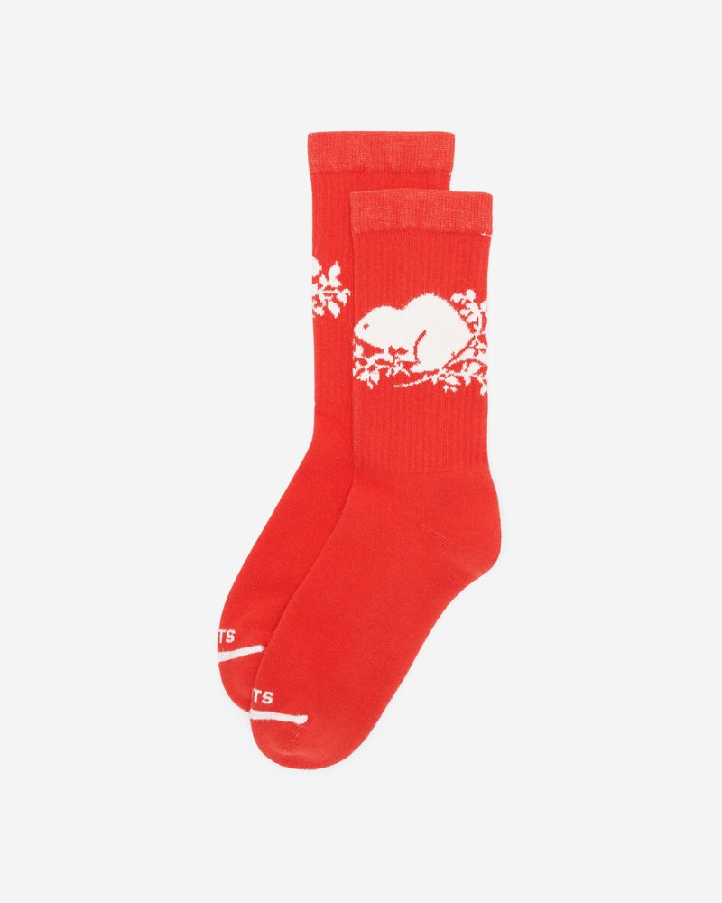 Roots Adult Cooper Beaver Sock - CARDINAL RED